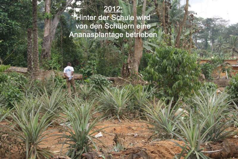 bild048.jpg --- erstellt mit  - www.abbe-felix.de